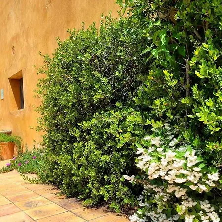 Masia Grupos Con Piscina Privada-28 Pax * Girona